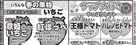 チラシ