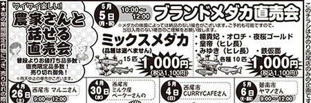チラシ