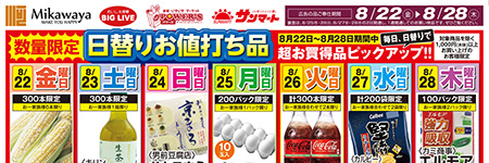 チラシ