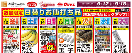 チラシ