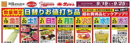 チラシ