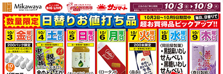 チラシ