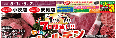 チラシ