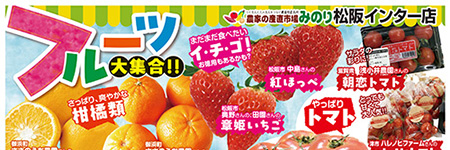 チラシ