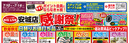 チラシ