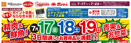 チラシ