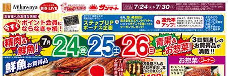 チラシ