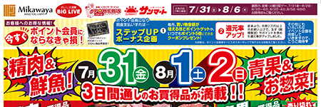 チラシ