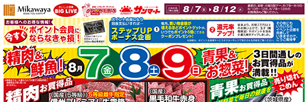 チラシ