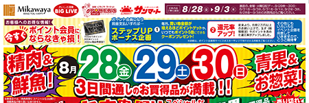 チラシ