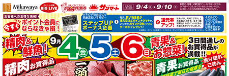 チラシ