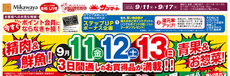 チラシ