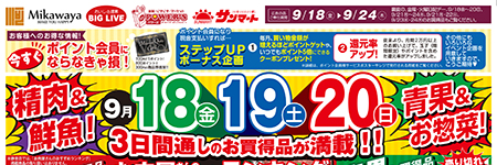 チラシ