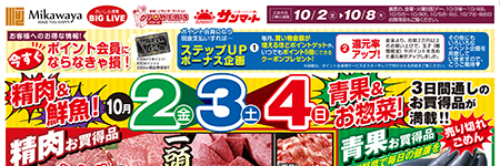 チラシ