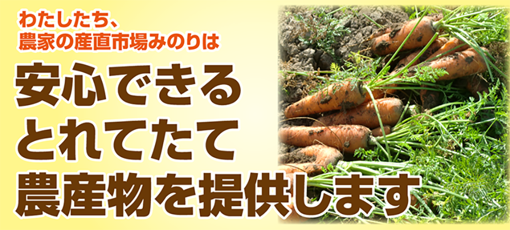 安心できるとれたて農産物を提供します